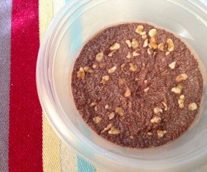 asweatlife lunch bunch chia seed pudding