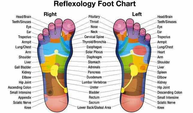 Reflexology