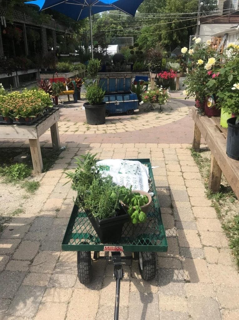 urban gardening