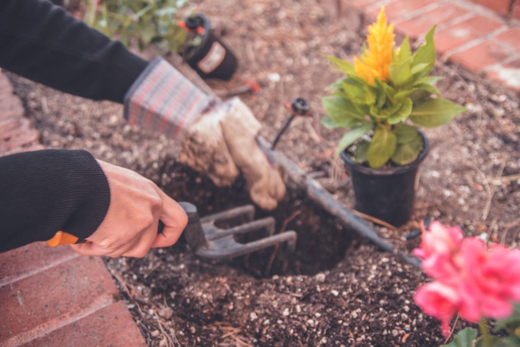 community garden