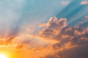 vitamin d