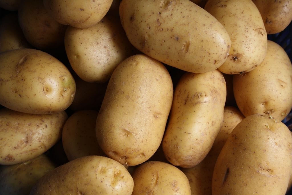 mashed potatoes recipe