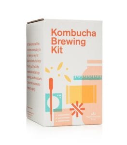 kombucha brewing kit