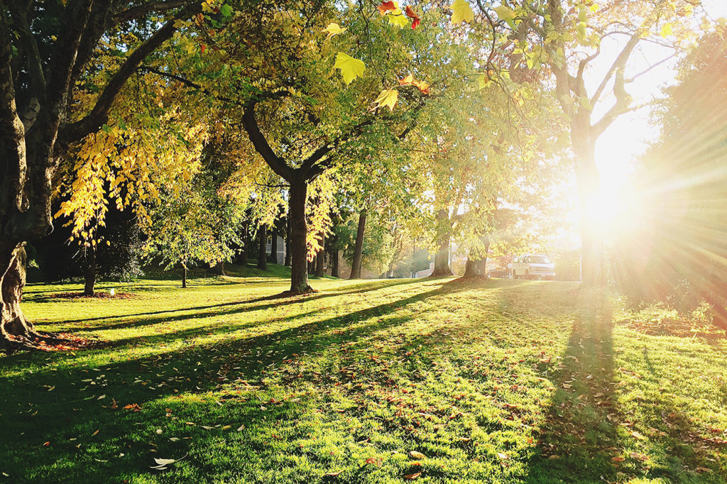 Free Summer Fitness with Chicago Park District aSweatLife