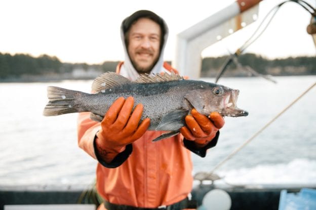 ryan horwath sitka salmon shares