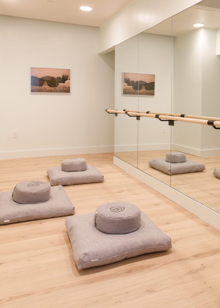 the wing dumbo wellness clubs