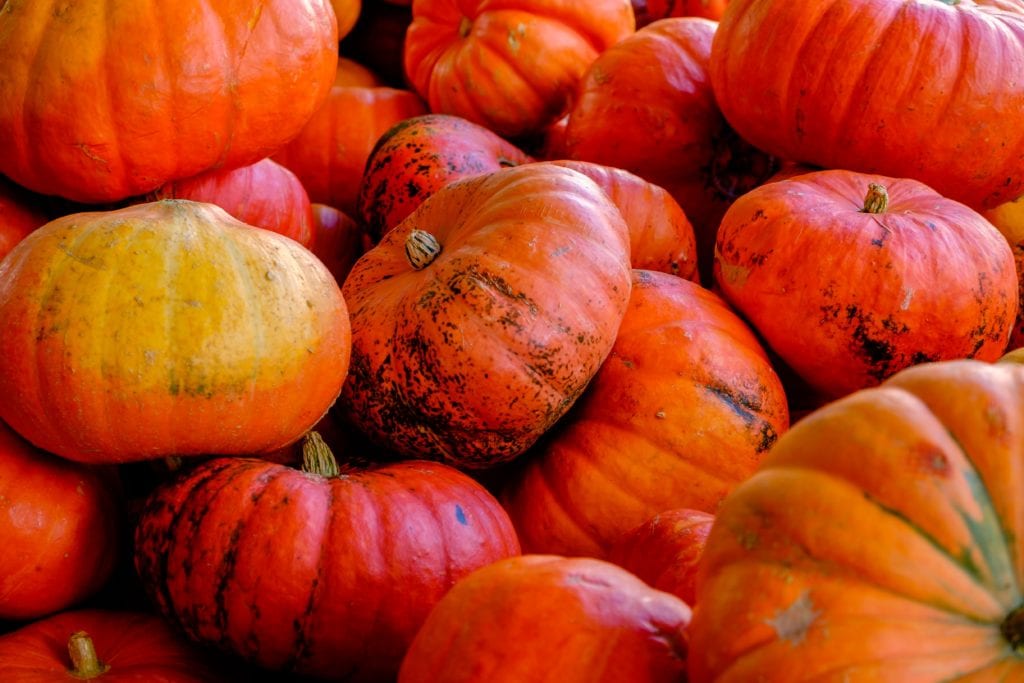 benefits of pumpkins and apples