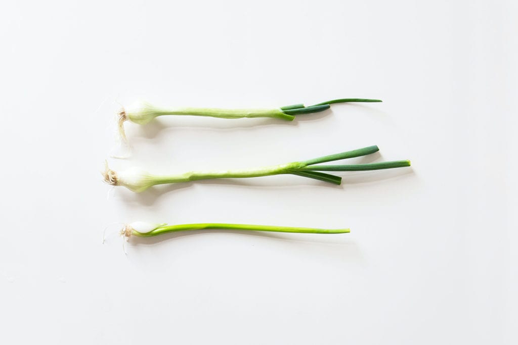 plants you can regrow from scraps, regrow green onions