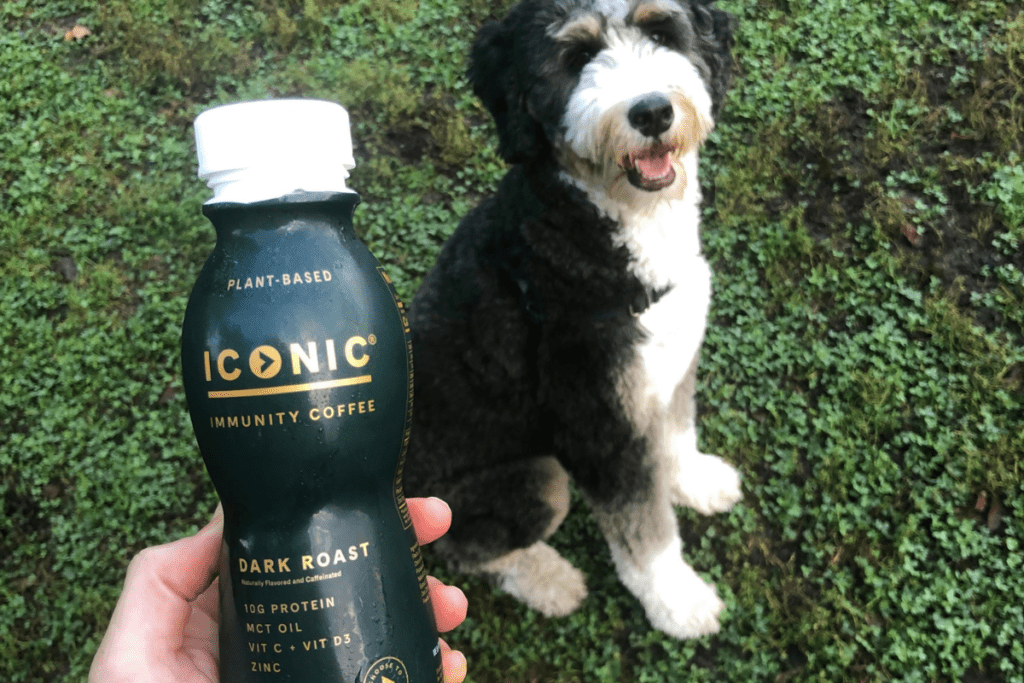 iconic protein