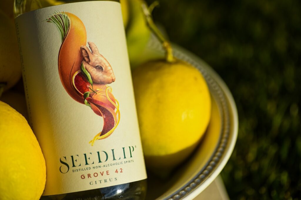 dry January - nonalcoholic seedlip