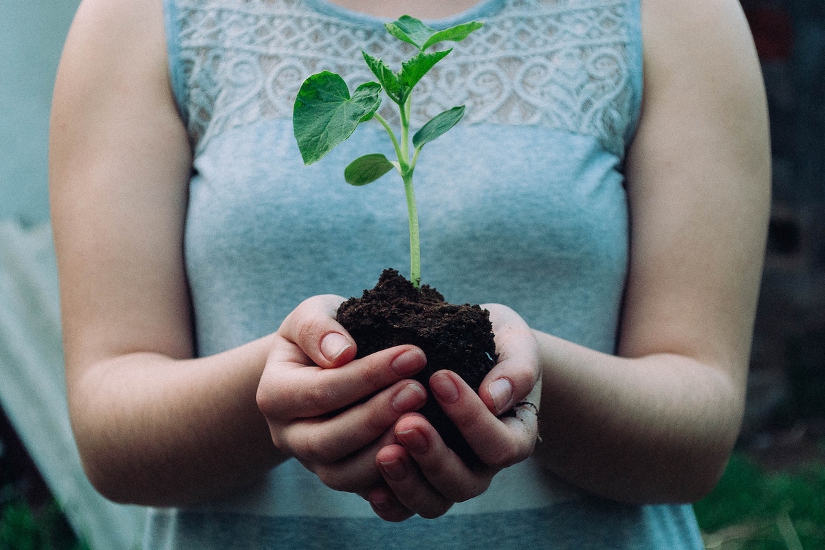 earth day - person holding plant